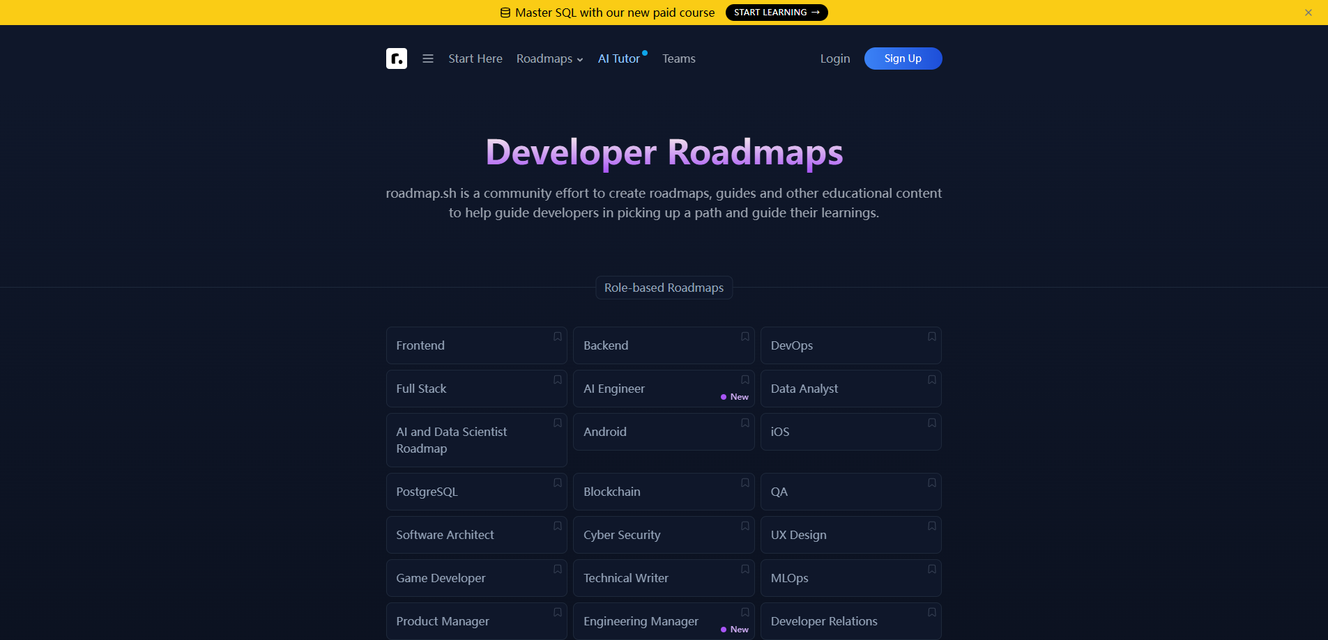 Developer Roadmaps