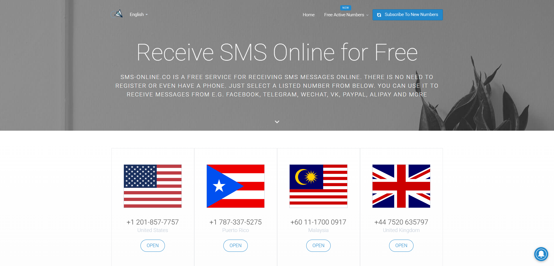 Receive SMS online for Free